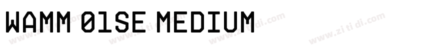 Wamm 01SE Medium字体转换